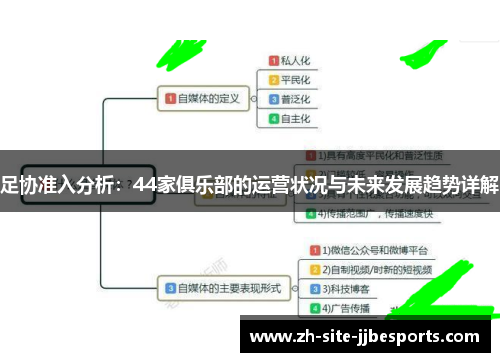 足协准入分析：44家俱乐部的运营状况与未来发展趋势详解