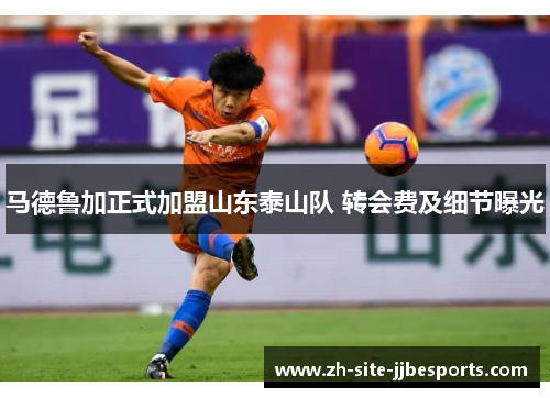 马德鲁加正式加盟山东泰山队 转会费及细节曝光